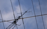 Antenna (5)